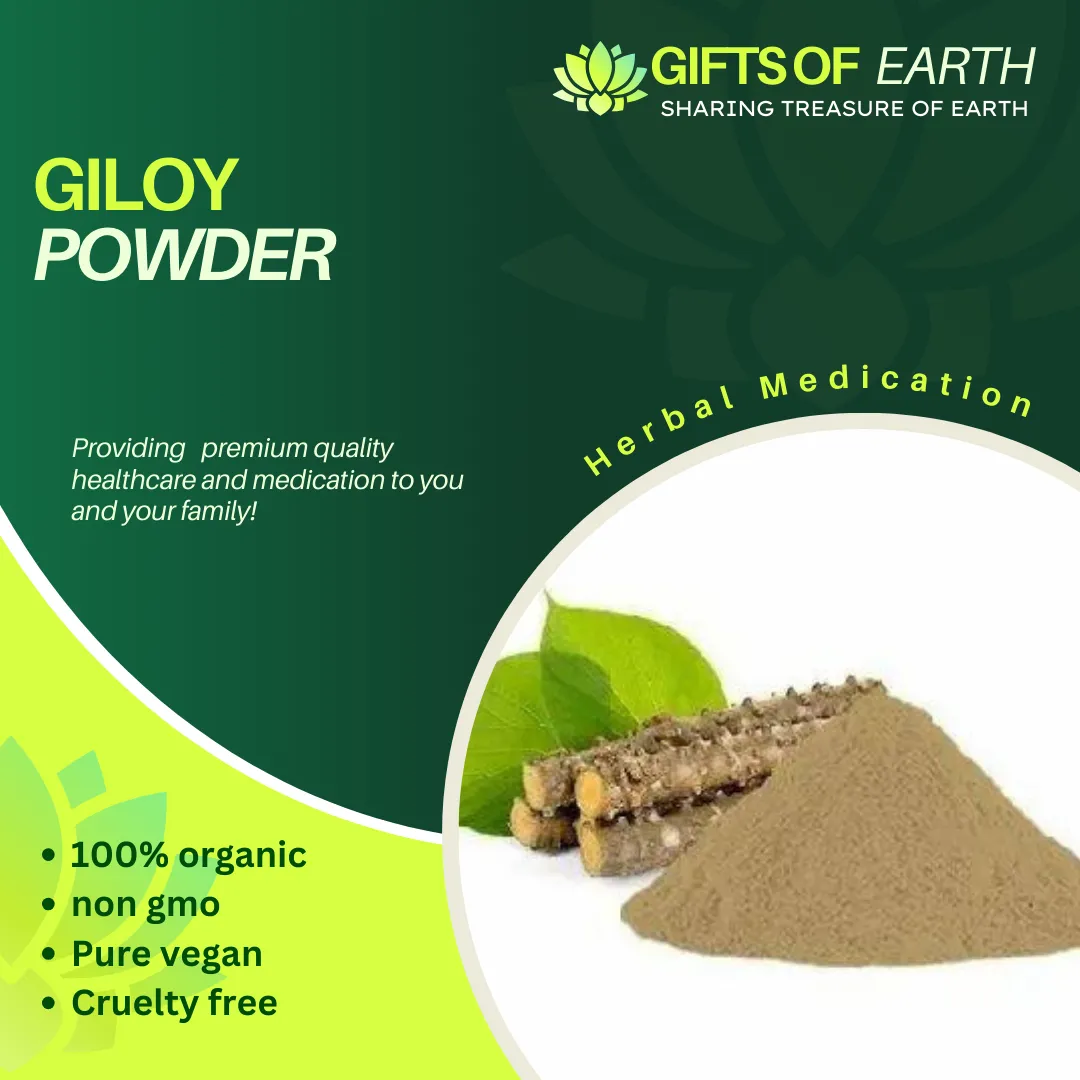 Giloy Powder